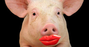 Lipstick-on-a-pig