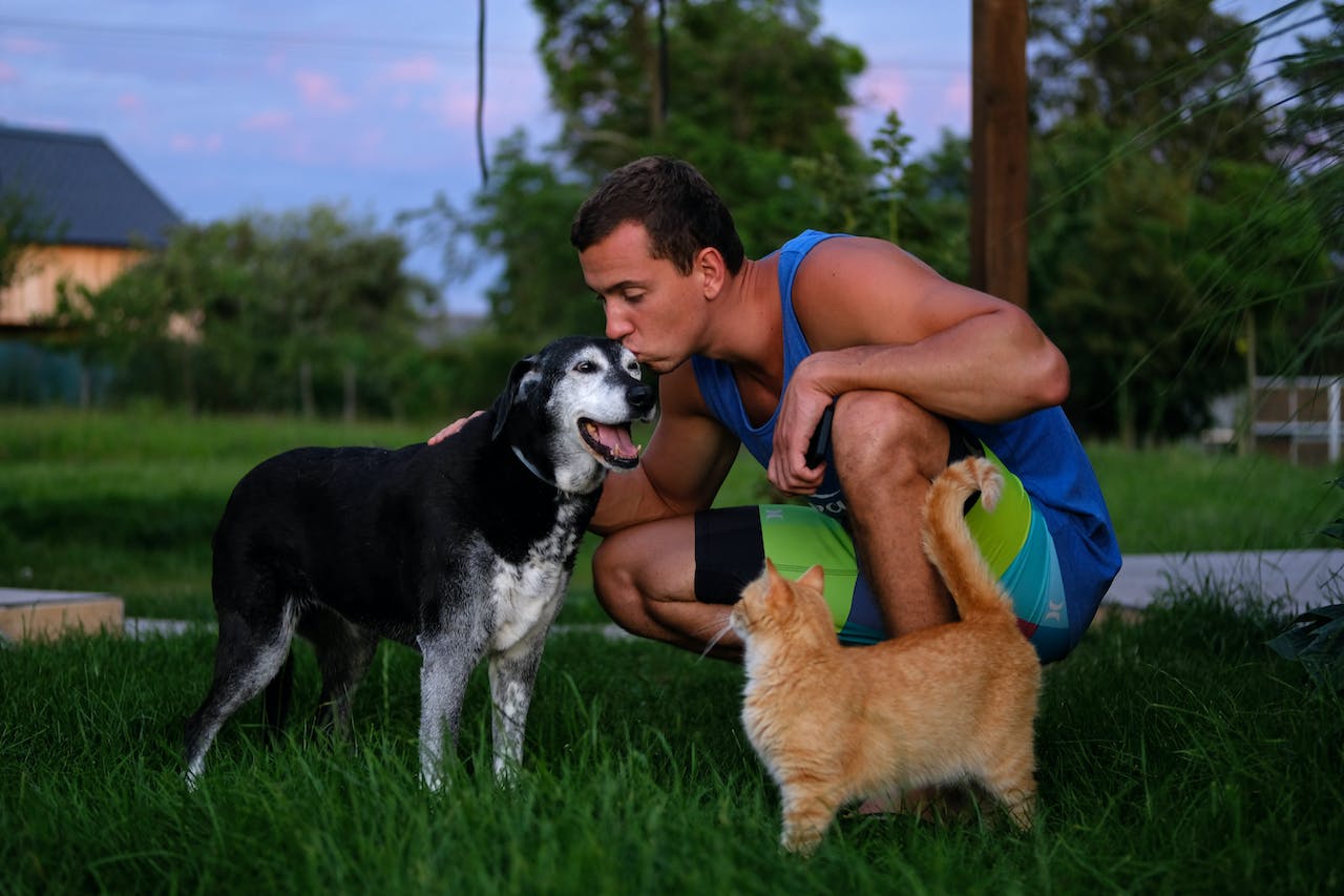 man sitting in grass with dog and cat