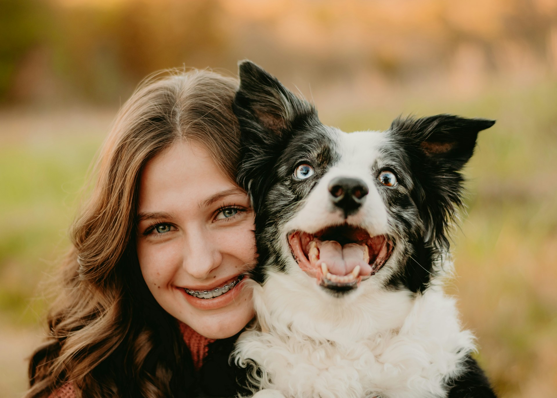 how to build a stronger bond with your pet through oral care